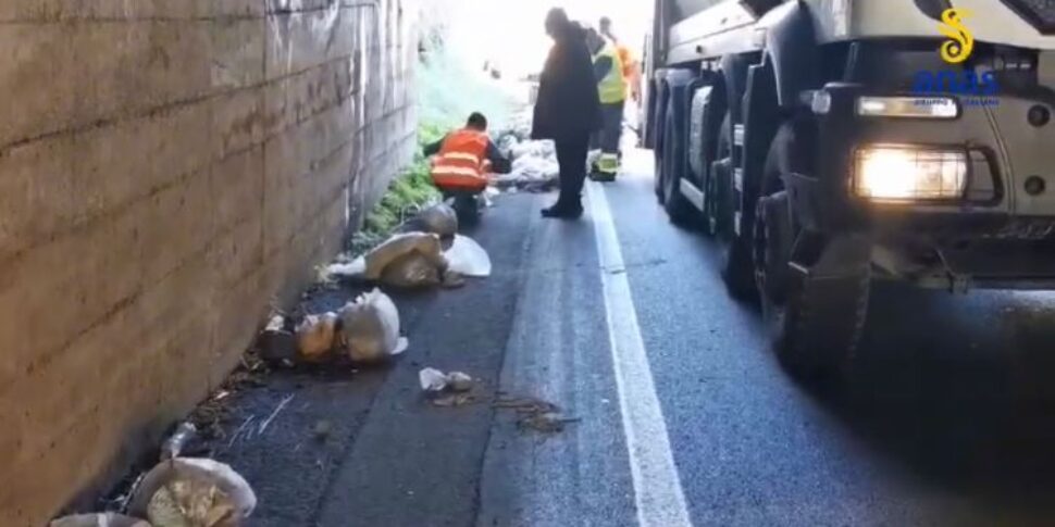 Vibo, rifiuti incontrollati sulle SS182 e 18. Strade ripulite dall'Anas: proficua la sinergia con il Comune