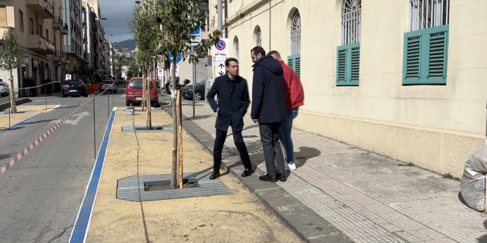ForestaMe, ecco come verrà il centro città a Messina tra mandorli e piante di lagunaria
