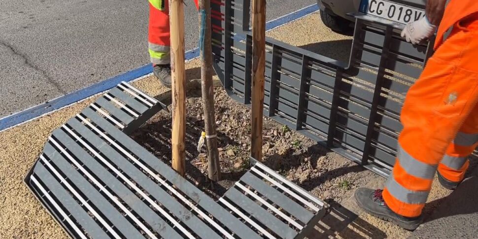 Messina, ForestaMe prende forma: in centro mandorli in fiore e griglie sull'asfalto