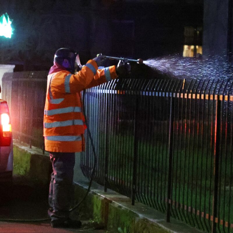 Sospetto Caso Di Dengue A Brescia, Fatta La Disinfestazione Antizanzare ...