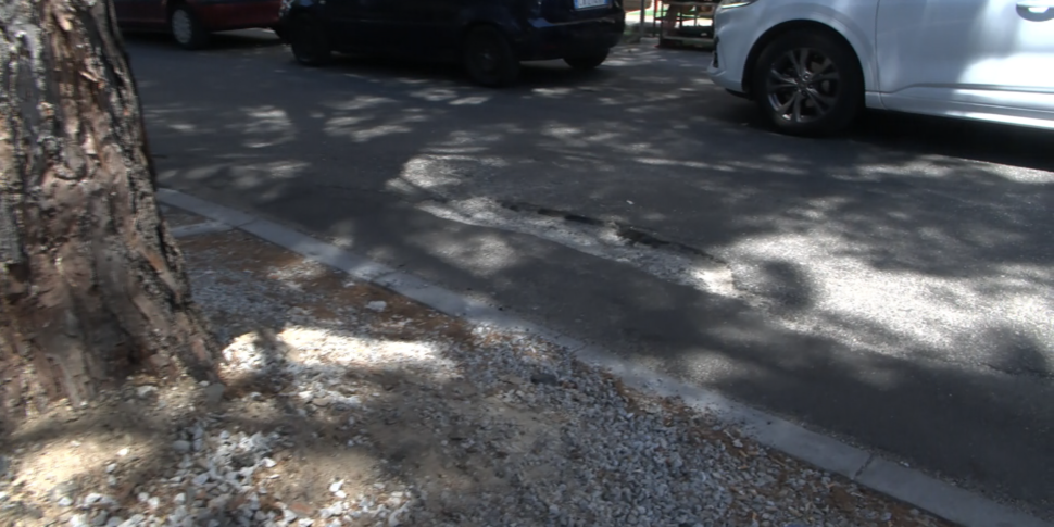 Radici, buche e dossi: automobilisti costretti alle gimkane sul viale Regina Elena a Messina