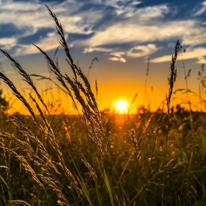 Immagini mozzafiato del Sole durante il solstizio d'estate