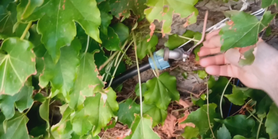 Emergenza acqua in contrada Calamona, la denuncia degli abitanti