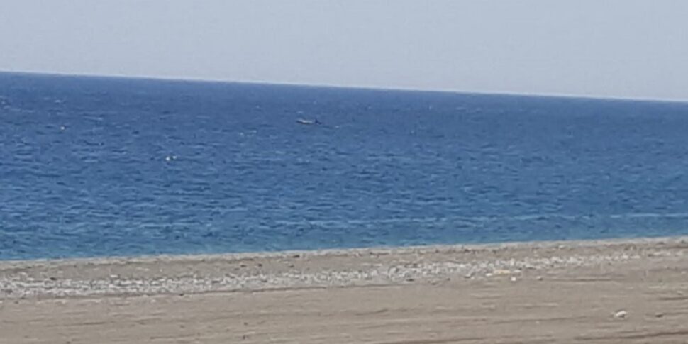 tragedia in spiaggia 55enne esce dall8217acqua e si accascia sulla sabbia inutili i soccorsi a montalto di castro da Gazzettadelsud.it tragedia in spiaggia 55enne esce dall8217acqua e si accascia sulla sabbia inutili i soccorsi a montalto di castro