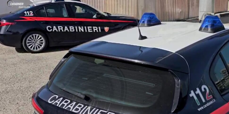Locri, cane abbandonato dal padrone e tenuto alla catena salvato dai ...