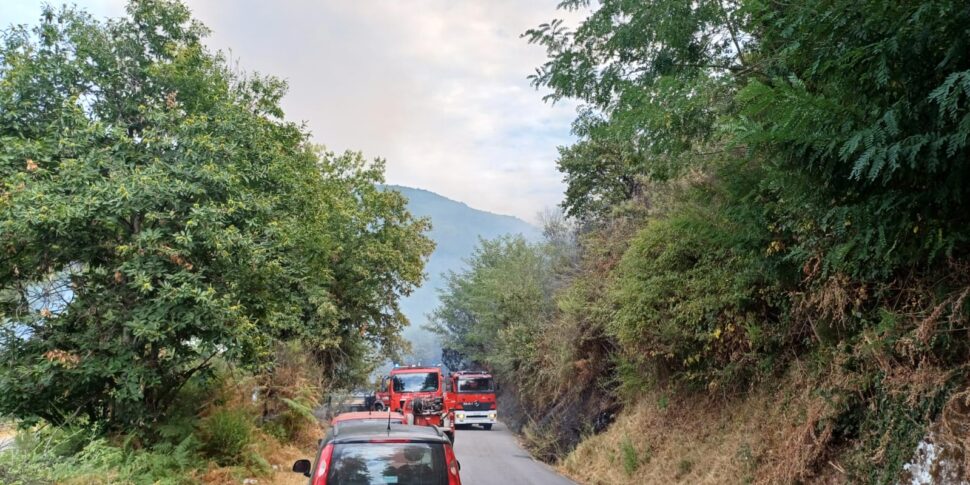 Paura Nel Vibonese Vasto Incendio Sulla Sp 62 Monsoreto Dinami In paura-nel-vibonese-vasto-incendio-sulla-sp-62-monsoreto-dinami-in
