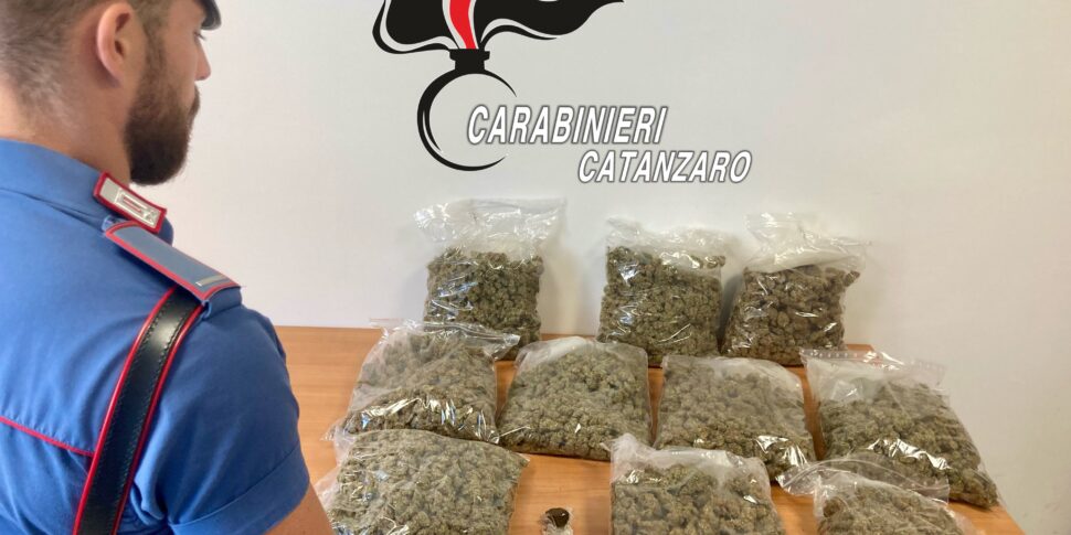 Con oltre 5 chili di droga in auto per le vie di Lamezia: fermato e arrestato un 28enne