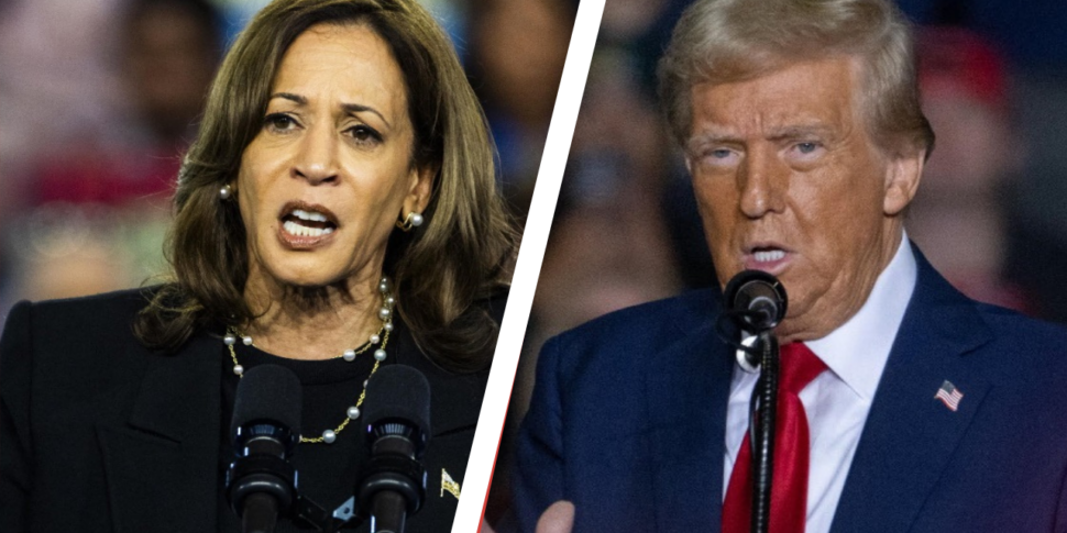 Harris o Trump? Possibili scenari in Usa e nel mondo: con la vittoria di Kamala continuità, con il tycoon ...