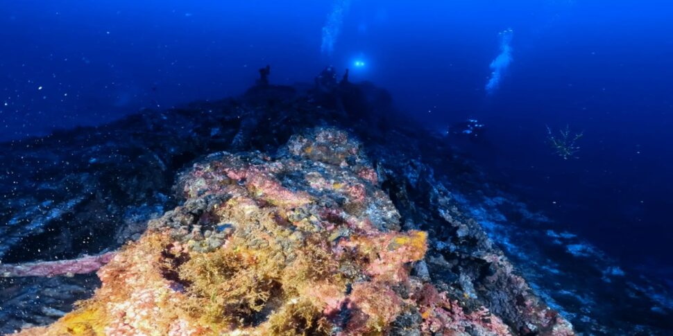 "Mare Dentro" nel porto di Messina per il piroscafo Patria e il rimorchiatore dragamine Rd55