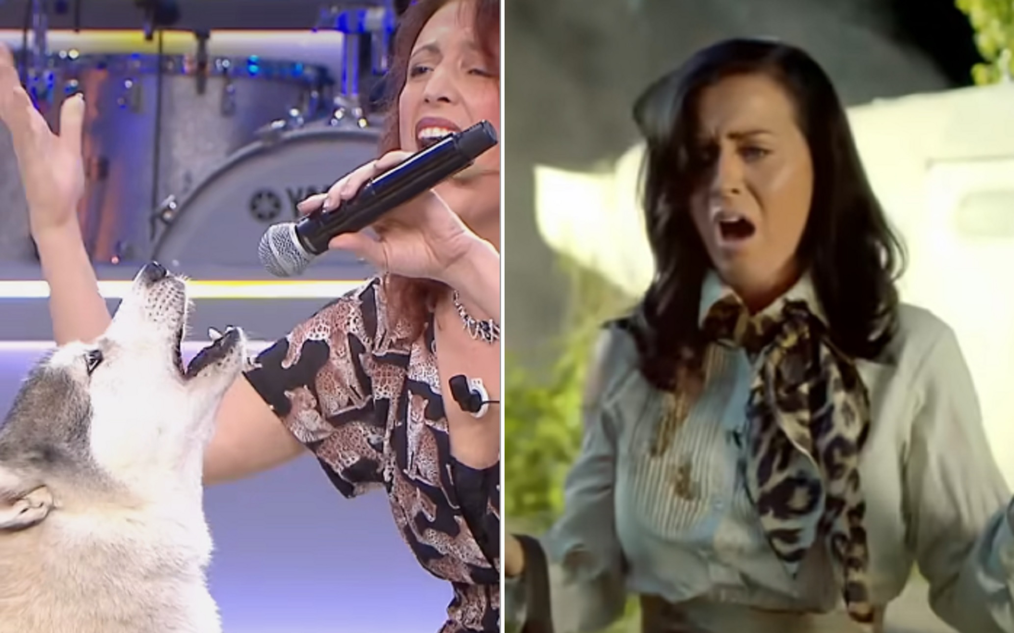 Katy Perry "impressionata" dal cane che canta Roar alla &… Katy Perry "impressionata" dal cane che canta Roar alla &…
