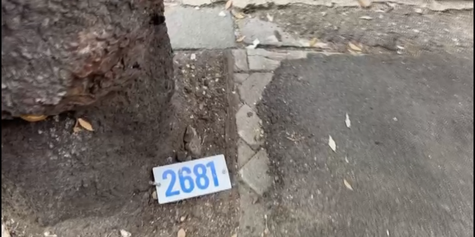 Parcheggi intelligenti, il paradosso delle “targhe” a Messina