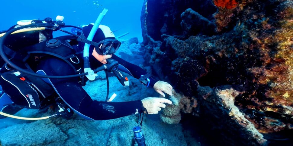 Mare dentro si "immerge" tra i fondali e le ricchezze di Trapani e le Egadi