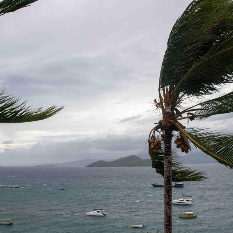 epa11778704 A handout photo made available by the French Army on 15 December 2024 shows trees blowing in storm winds in the French overseas territory of Mayotte. At least 14 people were killed and more than 200 injured after tropical cyclone Chido battered the French Indian Ocean territory of Mayotte on 14 December, authorities said. EPA/ETAT-MAJOR DES ARMEE HANDOUT -- BEST QUALITY AVAILABLE -- MANDATORY CREDIT: ETAT-MAJOR DES ARMEE -- HANDOUT EDITORIAL USE ONLY/NO SALES