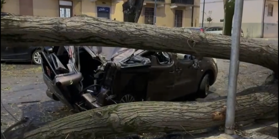 Albero caduto su un'auto a Messina. Il dramma di Salvatore, disabile costretto a casa