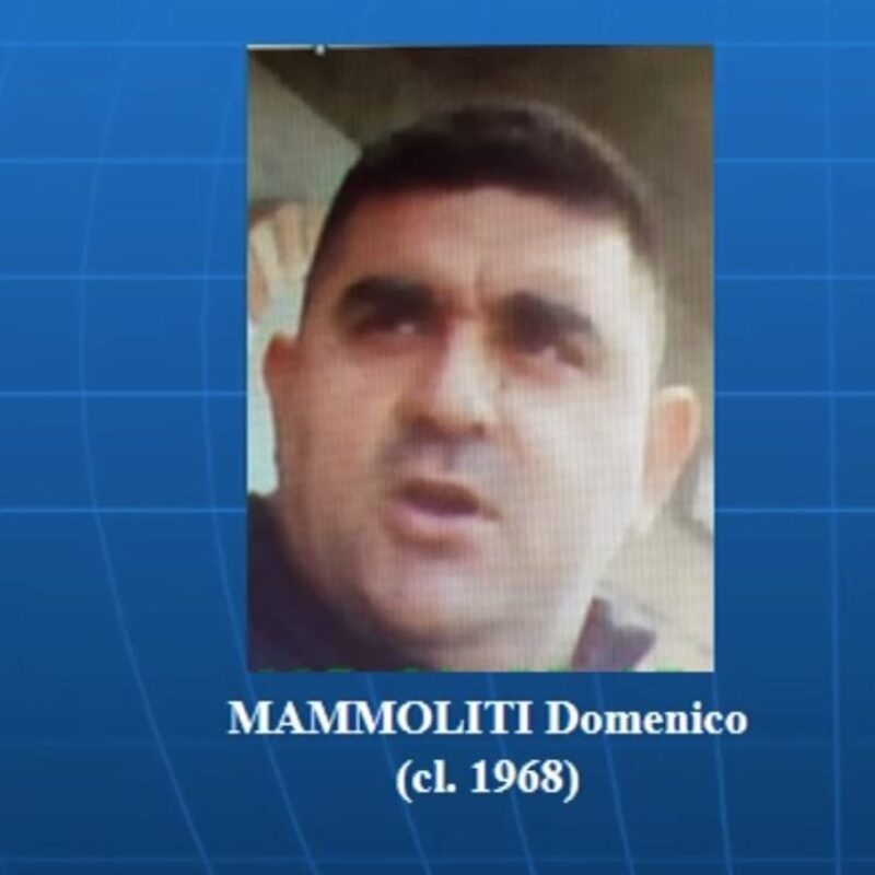 Domenico Mammoliti