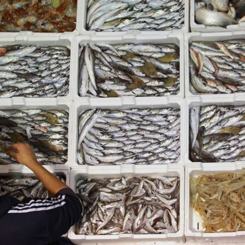 Accordo Ue sulle quote pesca nel Mediterraneo per il 2025