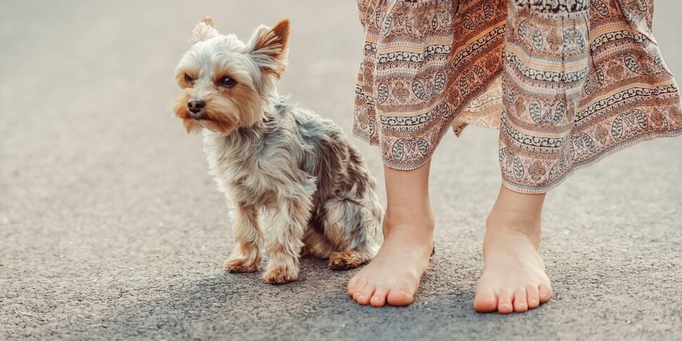 Colpita da ictus e salvata dal suo cane, Giusy Amoruso abbraccia il suo "Fischio" dopo mesi