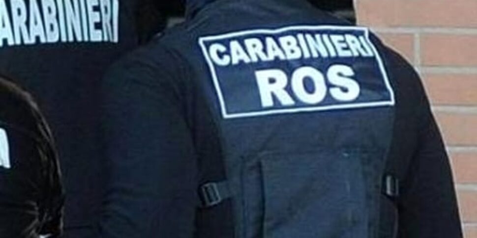 https://assets.gazzettadelsud.it/2025/01/carabinieri-dei-ros-2-970x485.jpg