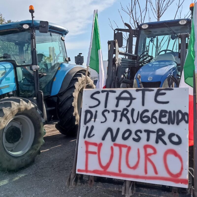 Trattori schierati durante una protesta degli agricoltori a Jesi (Ancona), Italia, 07 febbraio 2024. Gli agricoltori italiani continuano a protestare contro le politiche agricole europee dannose, facendo eco a manifestazioni in altre parti d'Europa, tra cui Germania, Belgio e Francia. ANSA/SIMONA MARINITractors lined up during a farmers protests in Jesi (Ancona), , Italy, 07 February 2024. Farmers in Italy continue to protest against what they say are harmful European agricultural policies, echoing demonstrations in other parts of Europe, including Germany, Belgium and France. ANSA/SIMONA MARINI