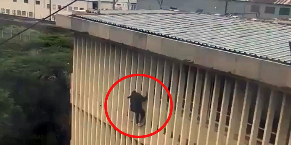 La fuga spettacolare del ladro Spider Man dal tribunale di Johannesburg. Il video