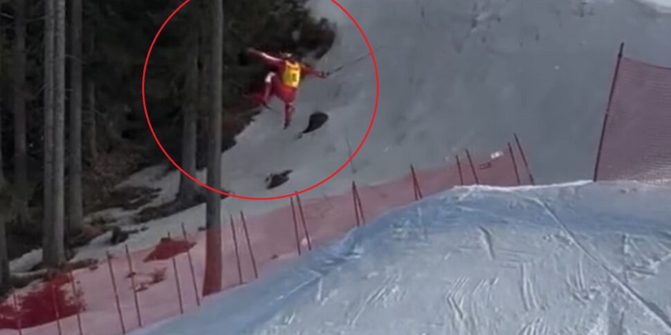 Rischia di finire su un albero: dramma sfiorato in gara di ski cross, il video è virale