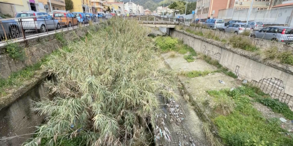Messina, la selva oscura del torrente Annunziata