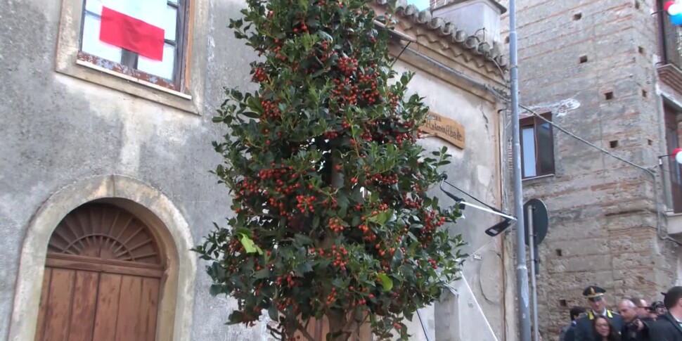 Gesso e l'agrifoglio di Jill Byden: riappare ma scattano le polemiche