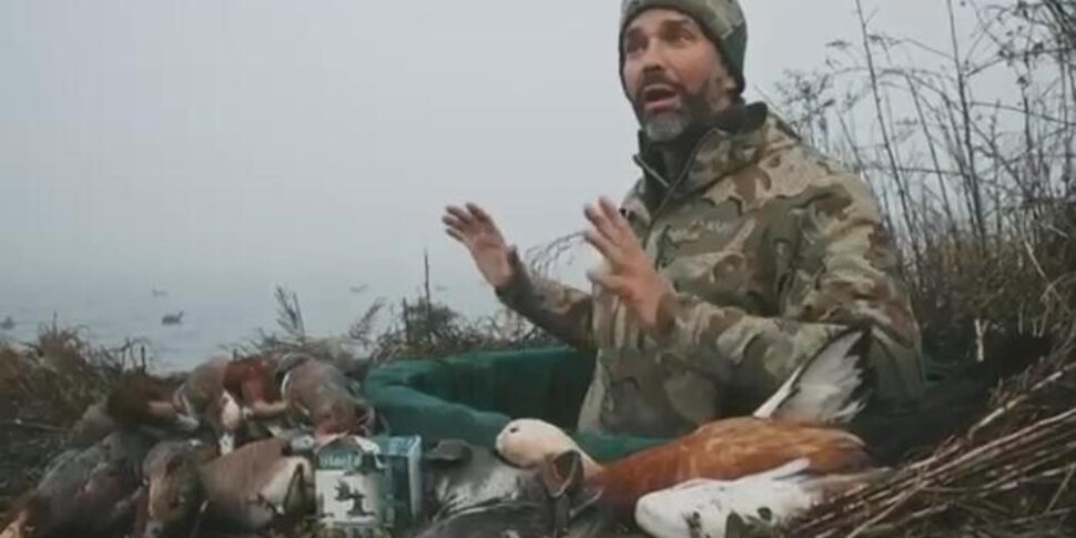 Trump junior denunciato per la caccia in laguna a Venezia: avrebbe abbattuto uccelli protetti