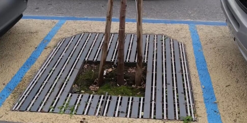 Messina green... ma non troppo, ForestaME non convince