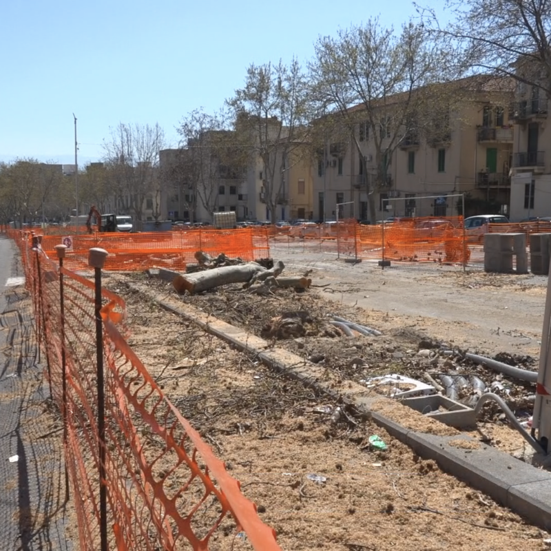 Parcheggio viale Giostra, alberi abbattuti e polemiche. Interdonato: "I platani erano pericolanti"