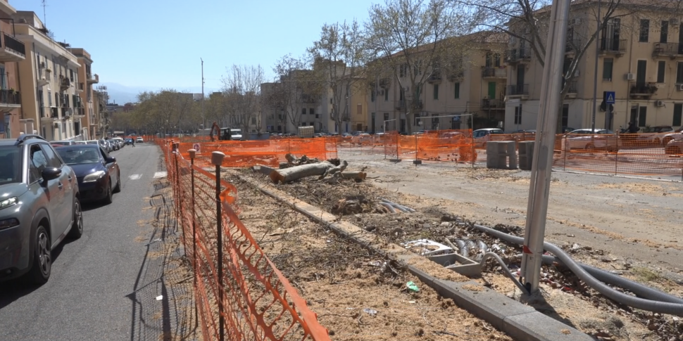 Parcheggio viale Giostra, alberi abbattuti e polemiche. Interdonato: "I platani erano pericolanti"