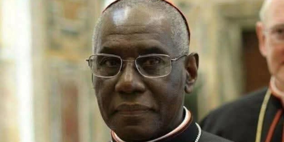 papa leone nomina il cardinale robert sarah inviato speciale papale