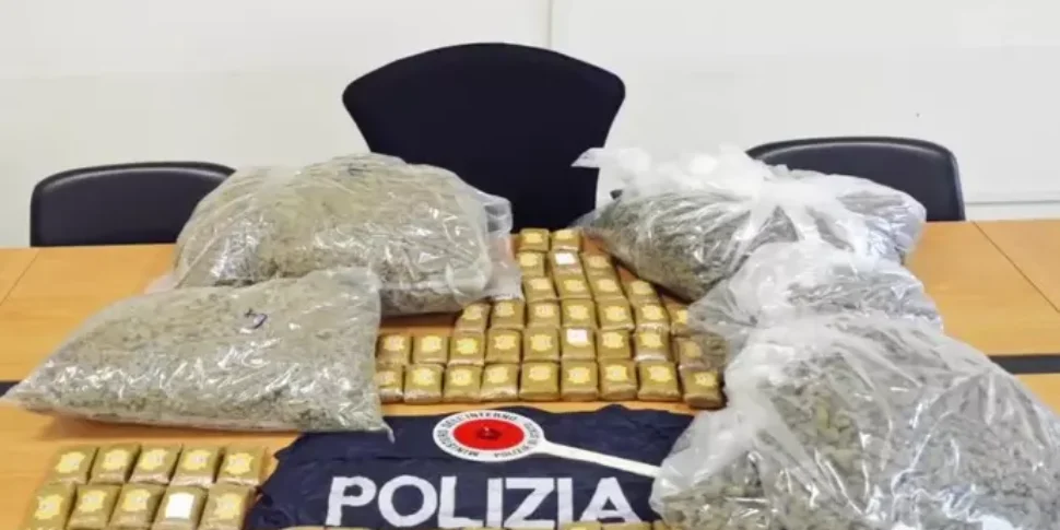 Traffico di droga e armi, sgominata banda tra Milano e Malaga: 24 arresti Traffico di droga e armi, sgominata banda tra Milano e Malaga: 24 arresti