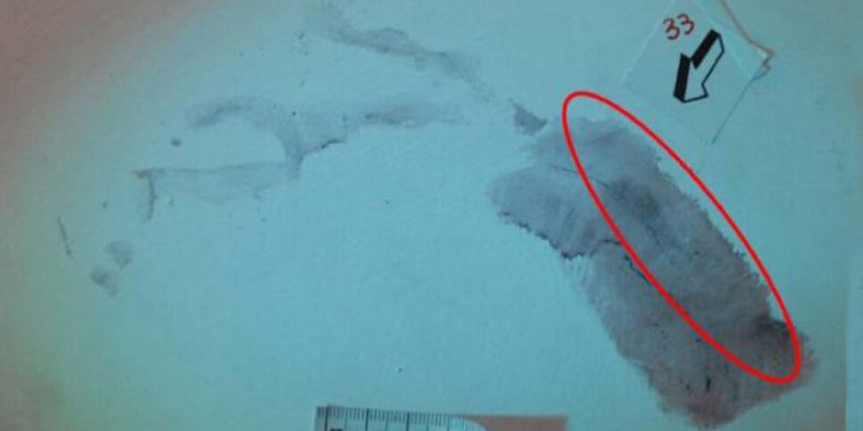 l impronta di sempio corrisponde per 15 punti di contatto si riaccende il giallo di garlasco
