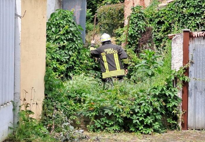 Omicidio Garlasco, l’oggetto trovato nel canale non è compatibile con il martello dei Poggi: le novità sul caso Omicidio Garlasco, l’oggetto trovato nel canale non è compatibile con il martello dei Poggi: le novità sul caso