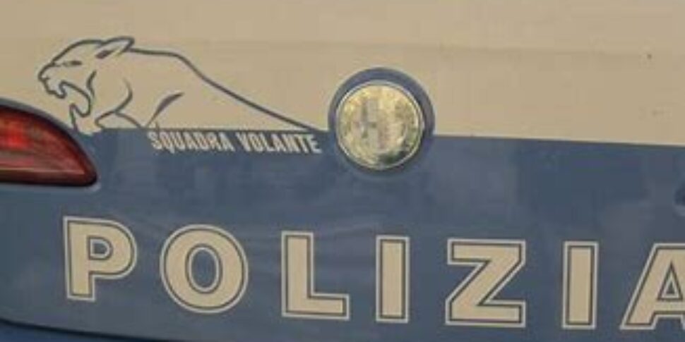 Firenze sequestrati da Feedpress.me firenze sequestrati 17 chili di marijuana arrestato un uomo per detenzione e spaccio