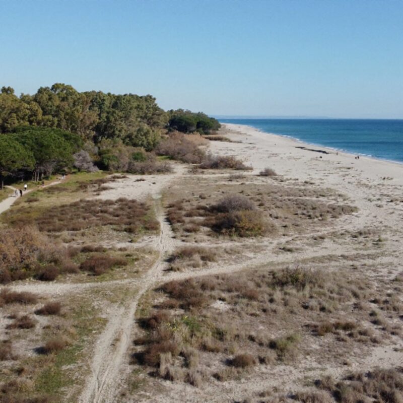 Nasce la Riserva delle Dune di Giovino: un tesoro naturale a Catanzaro che diventa patrimonio tutelato