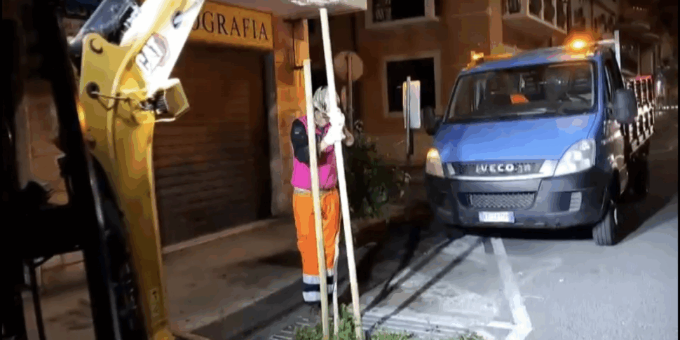 Alberelli ForestaMe rinsecchiti: è iniziata la sostituzione