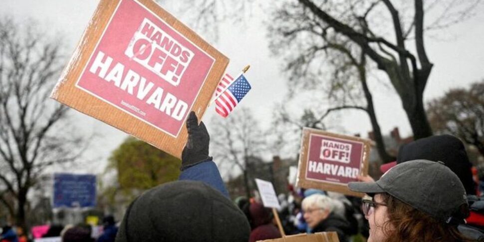 harvard vietata agli stranieri un giudice accoglie la mozione dell ateneo e blocca la stretta di trump