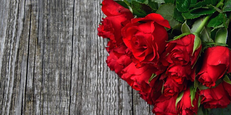Festa della Mamma 2025, dai fiori alle torte a forma di cuore: ecco cosa regalano gli italiani Festa della Mamma 2025, dai fiori alle torte a forma di cuore: ecco cosa regalano gli italiani