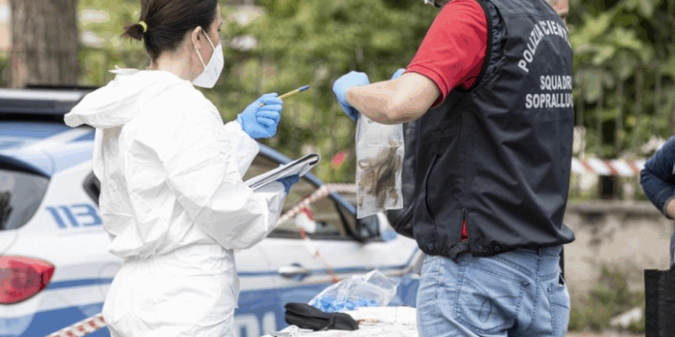 Trovati resti umani in strada a Parma: si ipotizza che siano di un feto Trovati resti umani in strada a Parma: si ipotizza che siano di un feto
