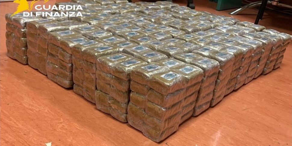 Traffico di droga, Finanza smantella una rete sul litorale Pontino: 16 arresti Traffico di droga, Finanza smantella una rete sul litorale Pontino: 16 arresti