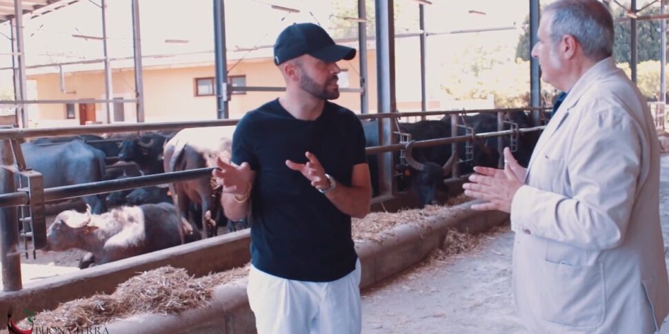 A "Buona Terra" su RTP si parla di mozzarella di bufala e dell’abbinamento vino-pizza