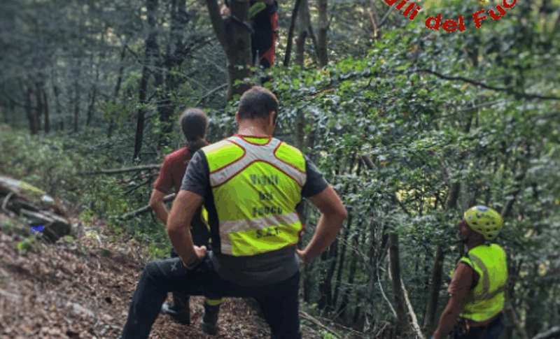 Valsassina, va a cercare funghi col padre e scompare: ritrovato senza vita trentenne lecchese Valsassina, va a cercare funghi col padre e scompare: ritrovato senza vita trentenne lecchese