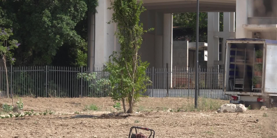 Messina, spuntano le prime piante in Fiera: l'apertura a ottobre