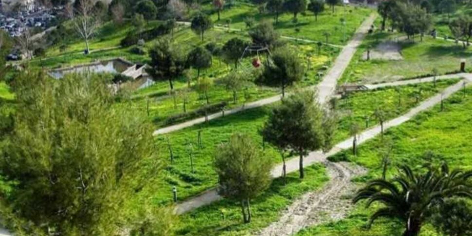Crotone, Parco Pignera cambierà volto tra verde urbano e archeologia Crotone, Parco Pignera cambierà volto tra verde urbano e archeologia