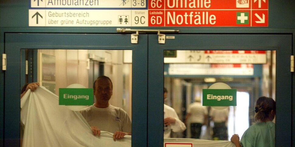 paura a vienna 23enne assistente di volo palermitana cade dal terzo piano di un albergo