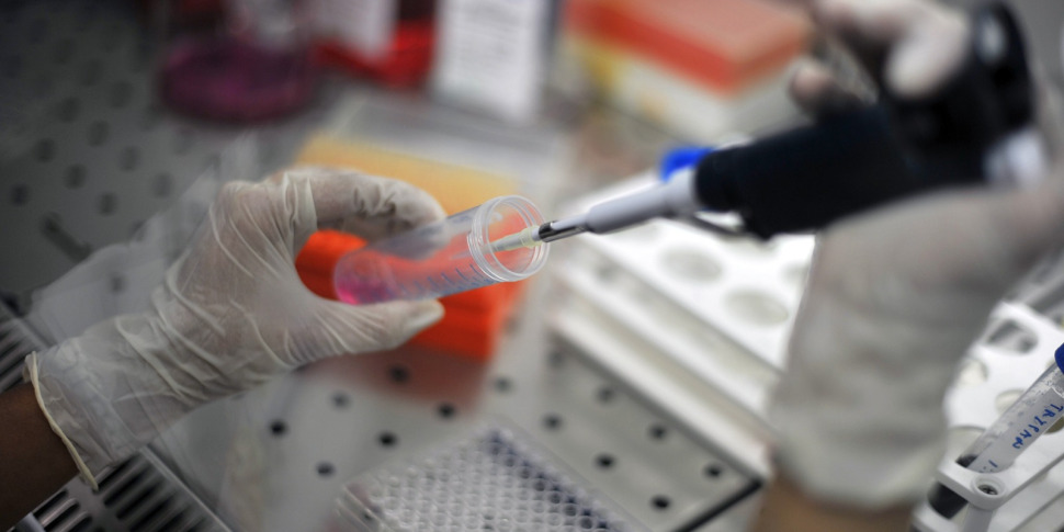 Allerta infezioni sessuali in estate, servono test e prevenzione Allerta infezioni sessuali in estate, servono test e prevenzione
