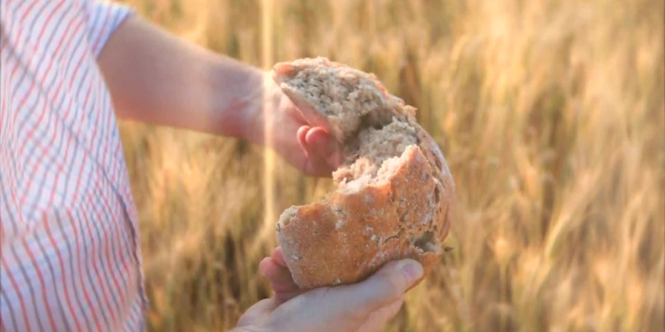 Il cavolo “trunzu” di Aci e la manna delle Madonie sono i prodotti della sesta puntata di “Buona Terra”