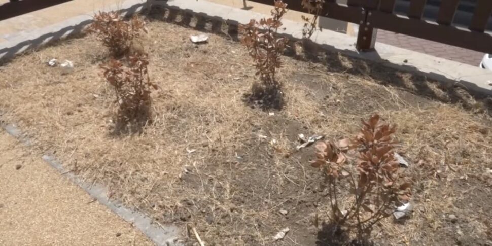 Messina, lo spazio riqualificato al Villaggio Aldisio è già un ricordo: erba ingiallita, alberi secchi, aiuole trascurate